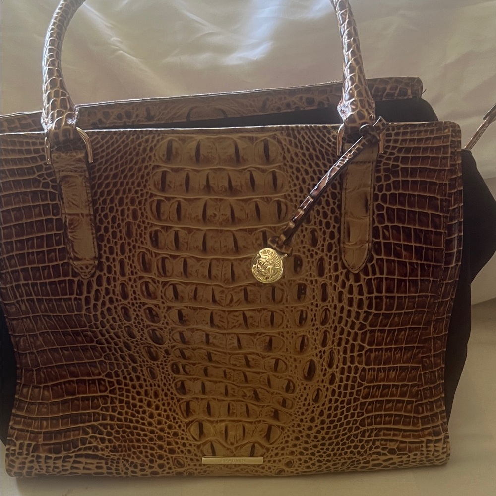 Brown Crocodile Embossed Women's Bag